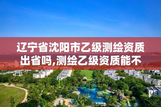 辽宁省沈阳市乙级测绘资质出省吗,测绘乙级资质能不能做省外的项目