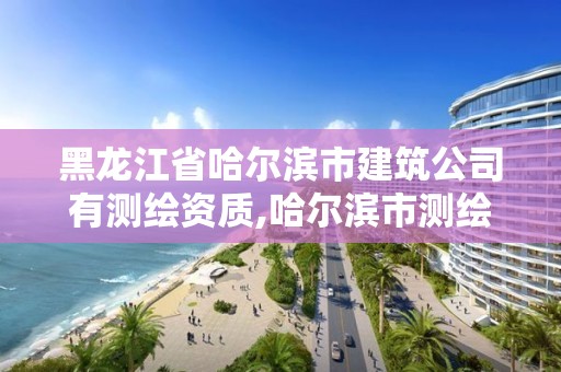 黑龙江省哈尔滨市建筑公司有测绘资质,哈尔滨市测绘院