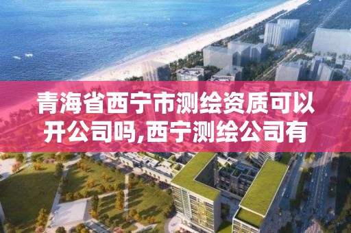 青海省西宁市测绘资质可以开公司吗,西宁测绘公司有哪些