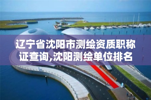 辽宁省沈阳市测绘资质职称证查询,沈阳测绘单位排名