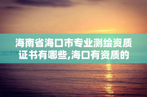 海南省海口市专业测绘资质证书有哪些,海口有资质的测绘公司。