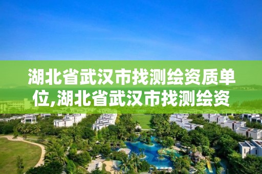 湖北省武汉市找测绘资质单位,湖北省武汉市找测绘资质单位的公司