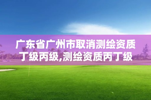 广东省广州市取消测绘资质丁级丙级,测绘资质丙丁级取消时间