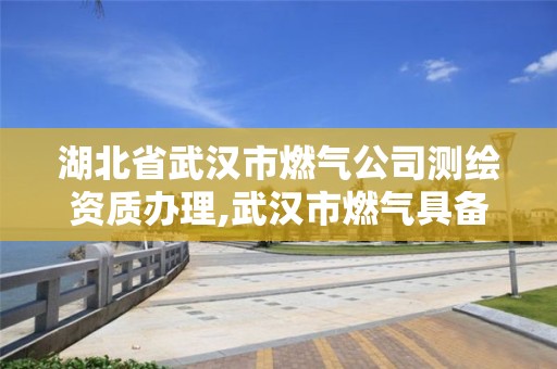 湖北省武汉市燃气公司测绘资质办理,武汉市燃气具备案公示