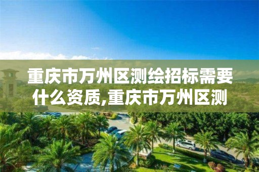 重庆市万州区测绘招标需要什么资质,重庆市万州区测绘招标需要什么资质的