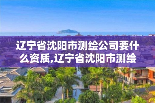 辽宁省沈阳市测绘公司要什么资质,辽宁省沈阳市测绘公司要什么资质才能开