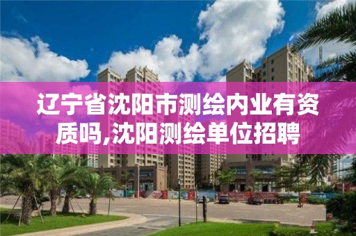 辽宁省沈阳市测绘内业有资质吗,沈阳测绘单位招聘