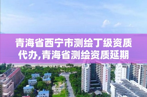 青海省西宁市测绘丁级资质代办,青海省测绘资质延期公告