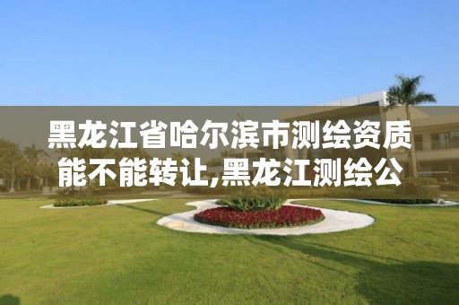 黑龙江省哈尔滨市测绘资质能不能转让,黑龙江测绘公司乙级资质。