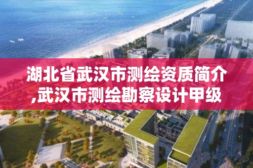 湖北省武汉市测绘资质简介,武汉市测绘勘察设计甲级资质公司