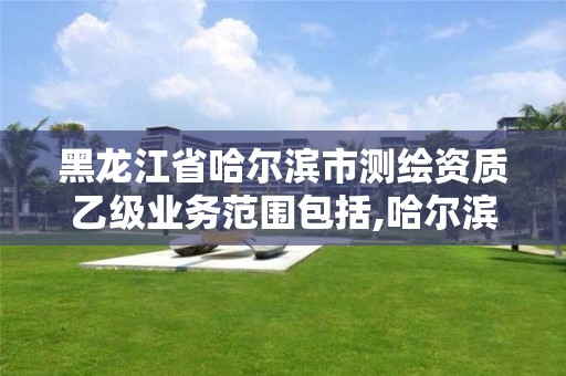 黑龙江省哈尔滨市测绘资质乙级业务范围包括,哈尔滨测绘公司哪家好。