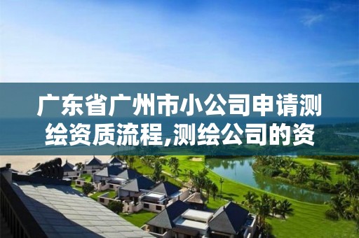 广东省广州市小公司申请测绘资质流程,测绘公司的资质去哪里申请。