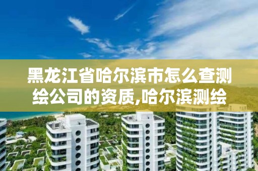 黑龙江省哈尔滨市怎么查测绘公司的资质,哈尔滨测绘公司招聘