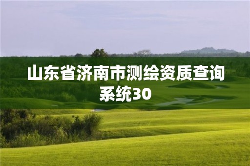 山东省济南市测绘资质查询系统30