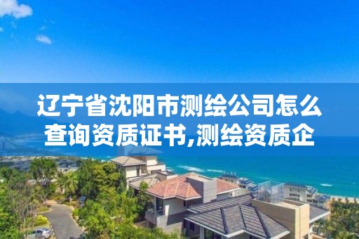 辽宁省沈阳市测绘公司怎么查询资质证书,测绘资质企业查询。