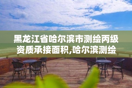 黑龙江省哈尔滨市测绘丙级资质承接面积,哈尔滨测绘局幼儿园是民办还是公办