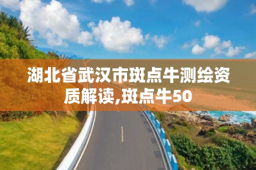 湖北省武汉市斑点牛测绘资质解读,斑点牛50