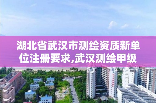 湖北省武汉市测绘资质新单位注册要求,武汉测绘甲级资质公司。