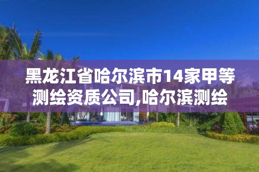 黑龙江省哈尔滨市14家甲等测绘资质公司,哈尔滨测绘公司招聘。