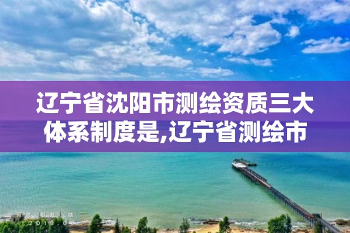 辽宁省沈阳市测绘资质三大体系制度是,辽宁省测绘市场管理办法。