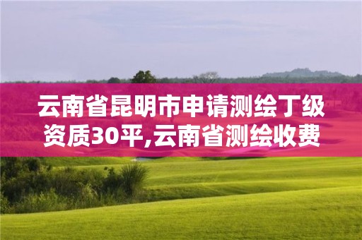 云南省昆明市申请测绘丁级资质30平,云南省测绘收费标准