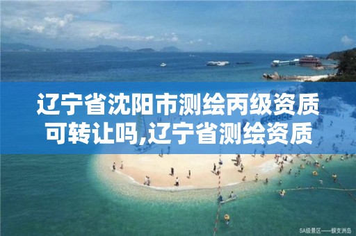 辽宁省沈阳市测绘丙级资质可转让吗,辽宁省测绘资质延期