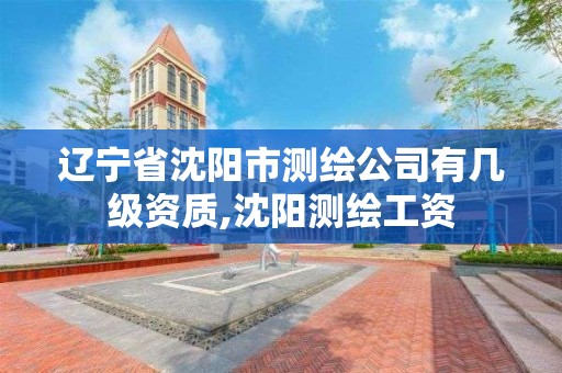 辽宁省沈阳市测绘公司有几级资质,沈阳测绘工资