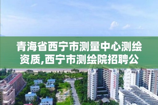 青海省西宁市测量中心测绘资质,西宁市测绘院招聘公示