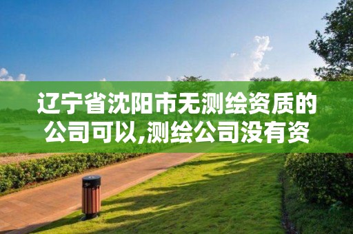 辽宁省沈阳市无测绘资质的公司可以,测绘公司没有资质可以开发票吗