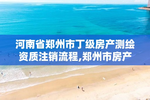 河南省郑州市丁级房产测绘资质注销流程,郑州市房产测绘实施细则