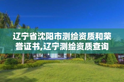 辽宁省沈阳市测绘资质和荣誉证书,辽宁测绘资质查询