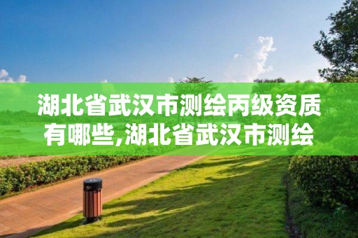 湖北省武汉市测绘丙级资质有哪些,湖北省武汉市测绘丙级资质有哪些企业