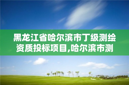 黑龙江省哈尔滨市丁级测绘资质投标项目,哈尔滨市测绘院