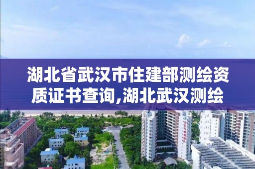 湖北省武汉市住建部测绘资质证书查询,湖北武汉测绘局。