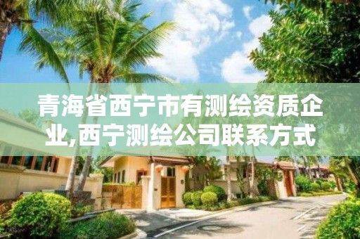 青海省西宁市有测绘资质企业,西宁测绘公司联系方式