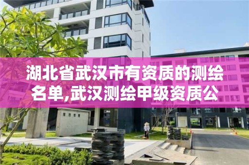 湖北省武汉市有资质的测绘名单,武汉测绘甲级资质公司。