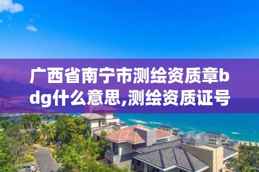 广西省南宁市测绘资质章bdg什么意思,测绘资质证号。