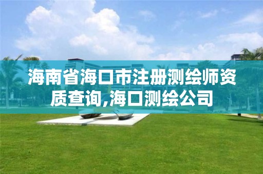 海南省海口市注册测绘师资质查询,海口测绘公司