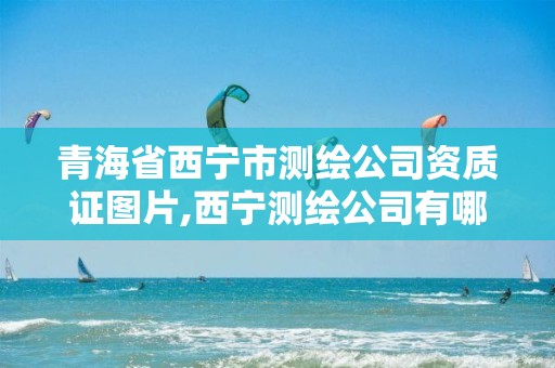 青海省西宁市测绘公司资质证图片,西宁测绘公司有哪些