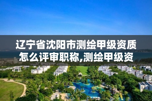 辽宁省沈阳市测绘甲级资质怎么评审职称,测绘甲级资质条件 专业技术人员