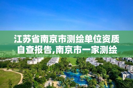 江苏省南京市测绘单位资质自查报告,南京市一家测绘资质单位要使用。