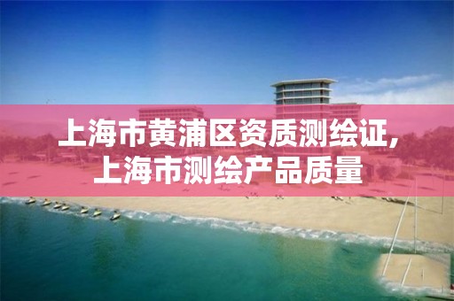 上海市黄浦区资质测绘证,上海市测绘产品质量