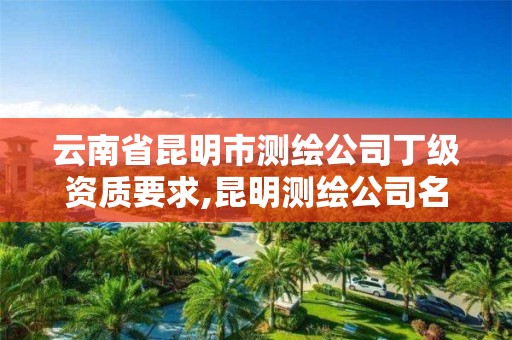 云南省昆明市测绘公司丁级资质要求,昆明测绘公司名单