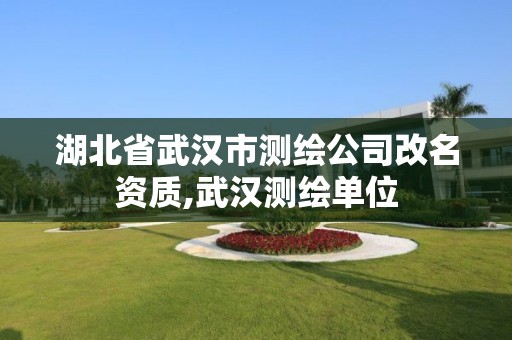 湖北省武汉市测绘公司改名资质,武汉测绘单位