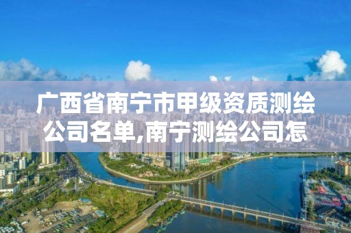 广西省南宁市甲级资质测绘公司名单,南宁测绘公司怎么收费标准