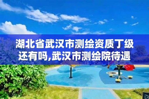 湖北省武汉市测绘资质丁级还有吗,武汉市测绘院待遇