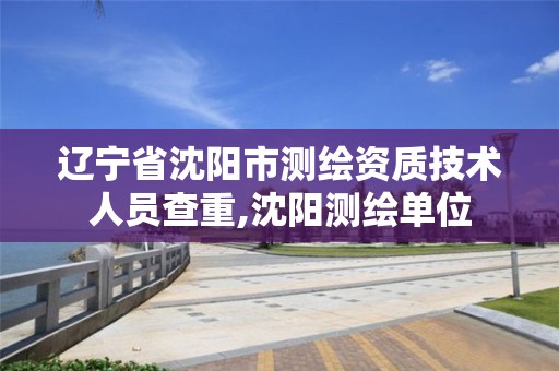 辽宁省沈阳市测绘资质技术人员查重,沈阳测绘单位