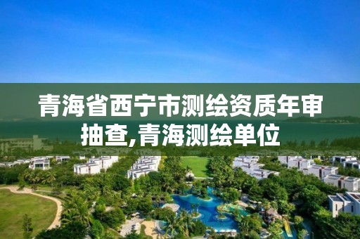 青海省西宁市测绘资质年审抽查,青海测绘单位