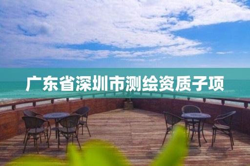 广东省深圳市测绘资质子项