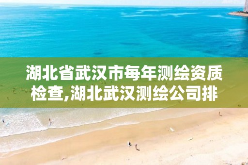 湖北省武汉市每年测绘资质检查,湖北武汉测绘公司排行榜